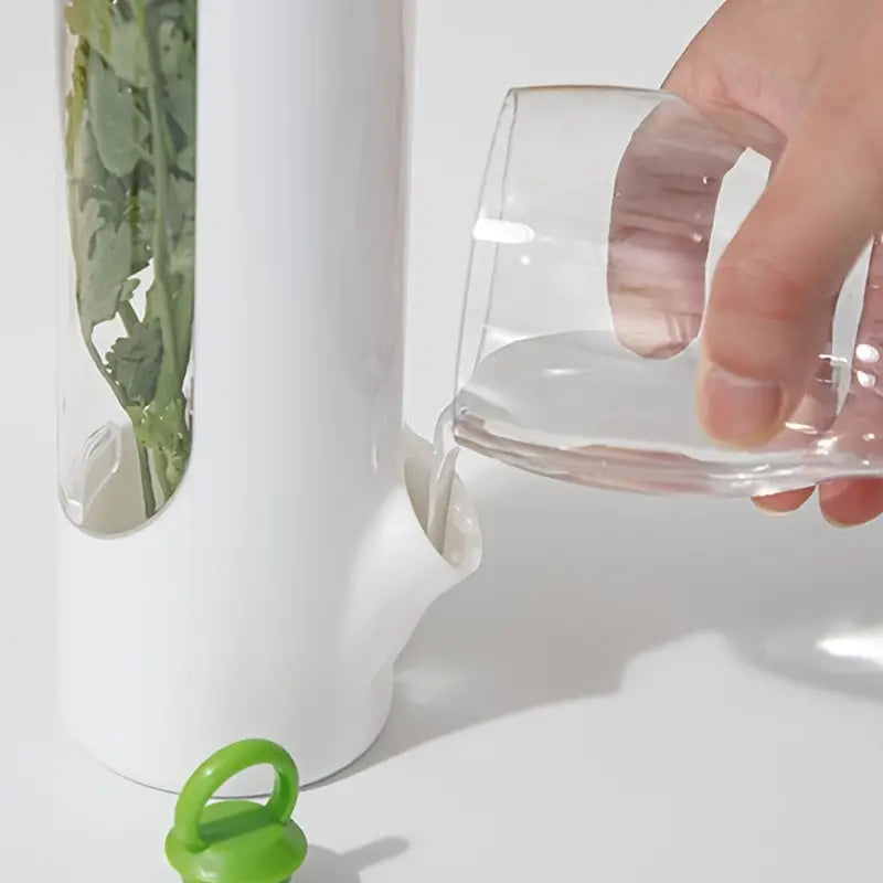 🥬 EXCLUSIVO! Anti Hongos ForGreen™ Paga 1 Recibe 2