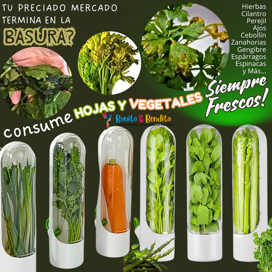 🥬 EXCLUSIVO! Anti Hongos ForGreen™ Paga 1 Recibe 2